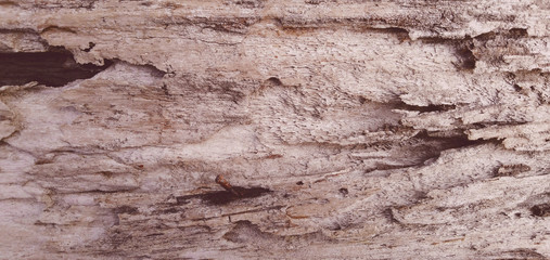 weathered teakwood, vintage, brown teak, old teak taken from.damaged house byy earthquake 2006 at Jogjakarta Indonesia