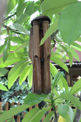 Traditional bamboo chimes on the tree