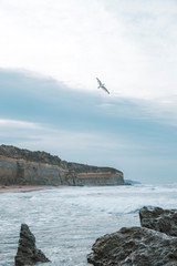Beach and Coastline of the Great Ocean Road, Victoria Australia