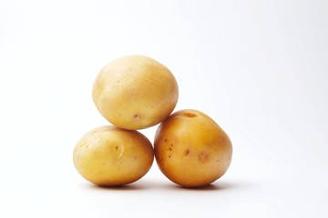 potato isolated on white background