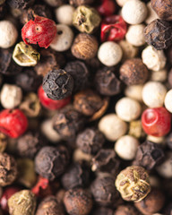 Close up of Mixted multi coloured peppercorns. white, black and green peppercorns macro background.