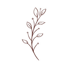 branch with leafs nature isolated icon