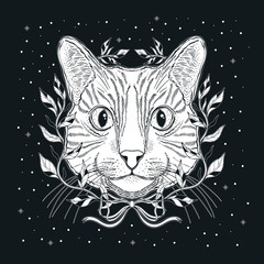Mystic magic cat. Portrait face head hand drawn vintage style.Line art ink painting.Graphic design tatoo.