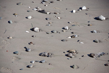 Fototapeta na wymiar High angle view of rocks in the wet beach sand