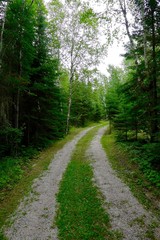 Fototapeta na wymiar Gravel Road at Pelican Pouch Lake, Ontario, Canada