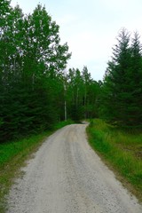 Gravel Road at Pelican Pouch Lake, Ontario, Canada