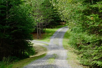 Obraz premium Gravel Road at Pelican Pouch Lake, Ontario, Canada