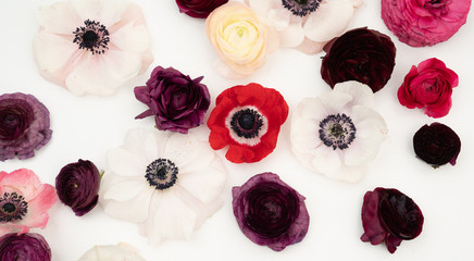 Pink blush and maroon ranunculus and anemone flowers flat lay
