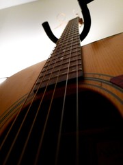 Guitar strings and neck close up
