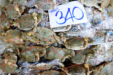 Fresh whole raw Sea Flower crab, street market, Bangkok, Thailand