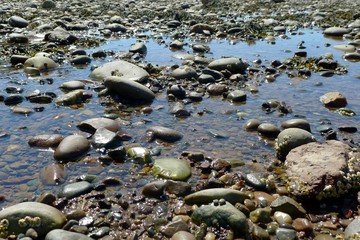 Exposed ocean floor at St. Martins in New Brunswick, Canada