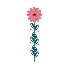 cute flower with branch and leafs isolated icon