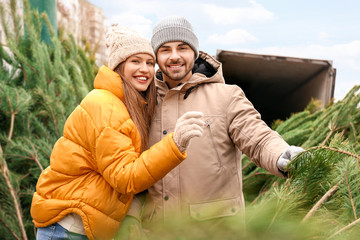 Young couple buying Christmas tree at the market