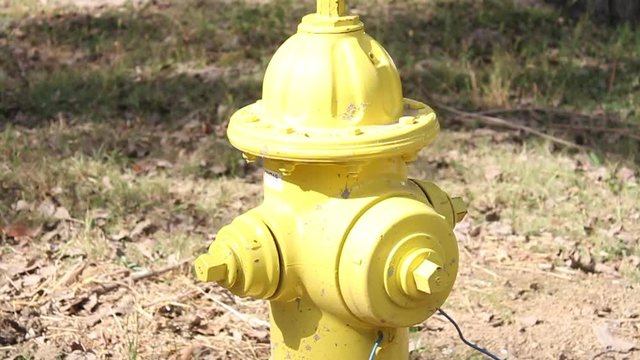 yellow fire hydrant