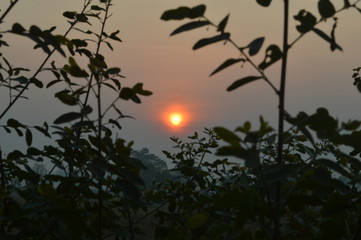 The sky with sunrise in the morning