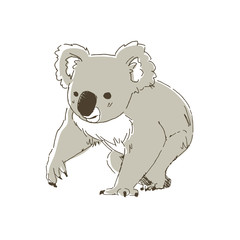 コアラのイラスト