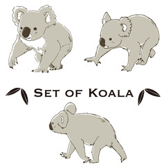 コアラのイラストセット　黒線