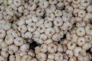 Close up of garlic in the market.