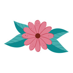 cute flower natural with leafs isolated icon