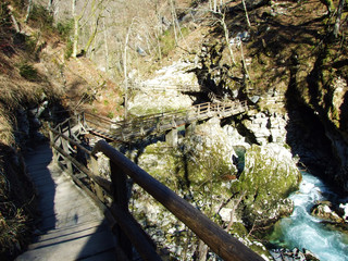 Vintgar Gorge or Bled Gorge and Radovna River (Soteska Vintgar ali Blejski vintgar in reka Radovna)...