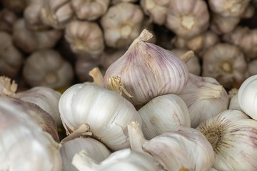 Selective focus Garlic background. 