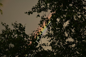 Rainbow after a summer storm. 