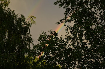 Rainbow after a summer storm.