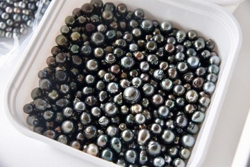 Container of harvested black pearls from a French Polynesian pearl farmer.