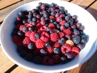 Organic raspberries and saskatoon berries in a white bowl on a wooden garden table