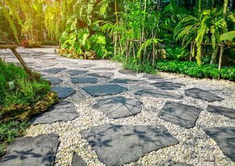 Free form pattern of black stone walkway and white gravel in garden of park, greenery fern epiphyte...