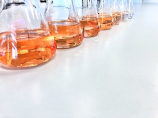 The Erlenmeyer or Conical flask on bench laboratory, with gradient solvent for analysis concentration range of iron show the orange color compound, detect with UV-spectrophotometer in waste water.