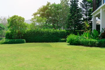 Store enrouleur Jardin Herbe verte fraîche pelouse lisse comme tapis avec forme courbe de buisson, arbres en arrière-plan, bons paysages d& 39 entretien dans un jardin sous ciel nuageux et soleil du matin