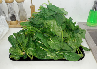 Fresh green spinach on white background. Healthy food concept.