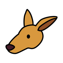 head of kangaroo on white background