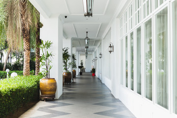 Beautiful interior of white corridors with lamps and green plants. - Powered by Adobe