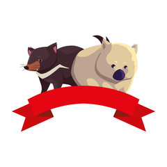 wombat and tasmanian devil on white background