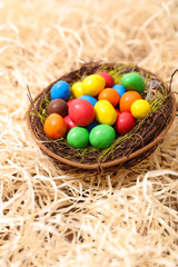 nest with colored easter egg