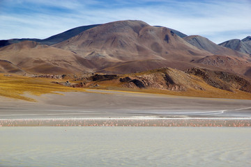 Laguna Grande in the Catamarca Province at Puna de Atacama, Argentina