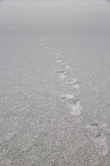 Footprints on the sand of a white dune, Argentina