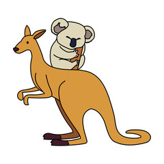 kangaroo and koala on white background
