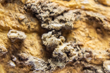 Sandstone with the remains of minerals and clay close-up. Macro photo