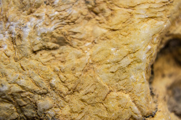 Sandstone with the remains of minerals and clay close-up. Macro photo