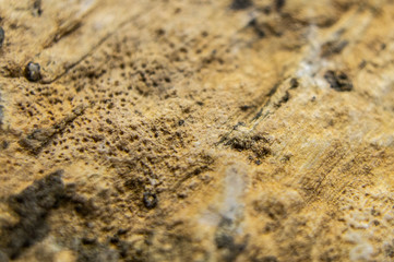 Sandstone with the remains of minerals and clay close-up. Macro photo