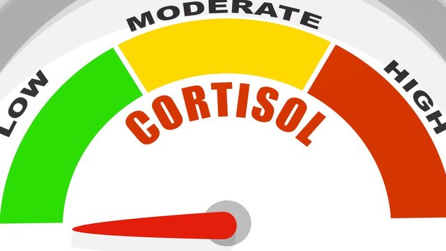 Hormone cortisol level measuring scale. Health care concept. 3D rendering