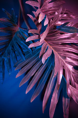 Creative fluorescent color layout made of tropical leaves. Flat lay, neon colors. Nature concept.