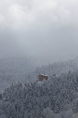 wintertime landscape photos and snowy pine trees.artvin/turkey