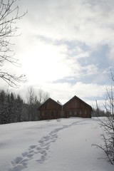 wintertime landscape photos and snowy pine trees.artvin/turkey