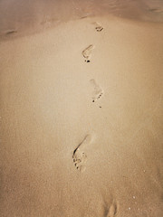 Footprints of a man on the sand by the sea