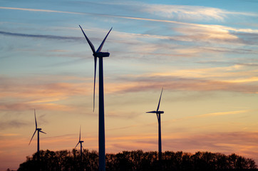 555-35 Wind Turbines at Sunset