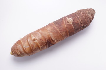 里芋、タケノコイモ